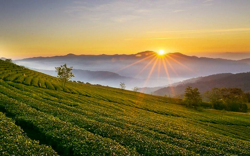 Lưu ý khi đi Biển Hồ Chè Gia Lai