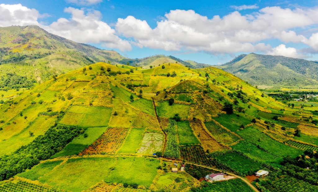 Vẻ đẹp mùa hoa dã quỳ tại Chư Đăng Ya